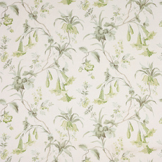 Дурман от Colefax и Fowler